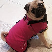 CoolChampions Cool Coat - Daenery